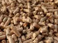 Gdzie kupić pellet lubelskie? Najlepsze oferty i lokalni dostawcy