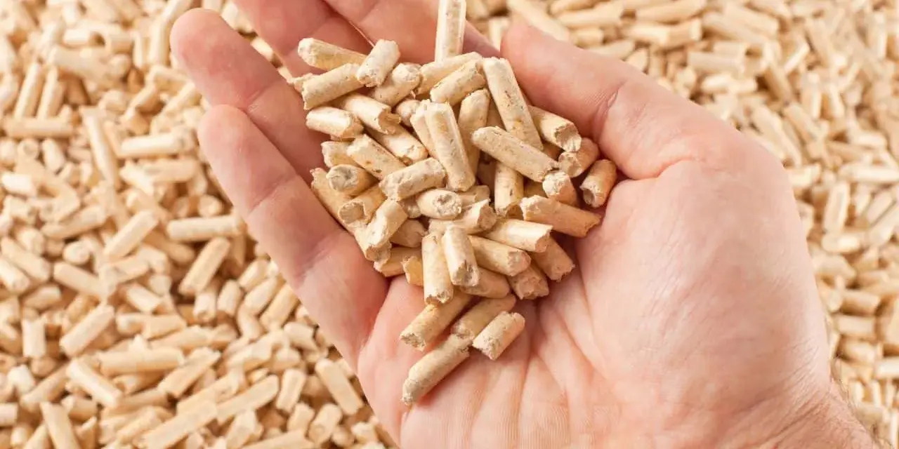 Dłoń trzymająca pellet drzewny. Zastanawiasz się, ile kosztuje tona pelletu? To ekologiczne paliwo grzewcze.