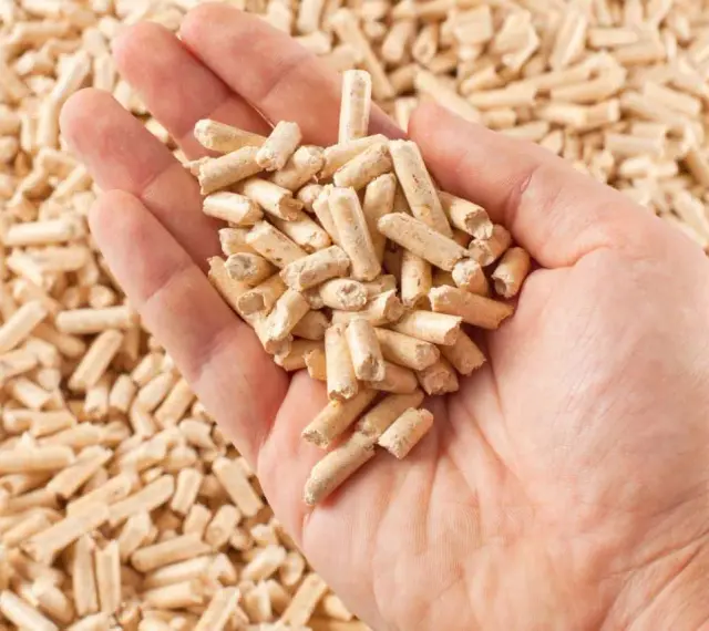 Dłoń trzymająca pellet drzewny. Zastanawiasz się, ile kosztuje tona pelletu? To ekologiczne paliwo grzewcze.